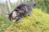 xara75weeks119202312_small.jpg
