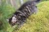 xara75weeks119202313_small.jpg