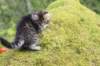 xara75weeks119202314_small.jpg