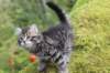 xara75weeks119202315_small.jpg