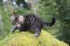 xara75weeks119202316_small.jpg