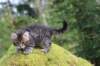 xara75weeks119202317_small.jpg