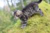 xara75weeks119202319_small.jpg
