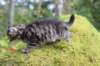 xara75weeks119202320_small.jpg