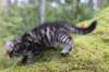 xara75weeks119202322_small.jpg