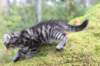 xara75weeks119202323_small.jpg
