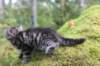 xara75weeks119202324_small.jpg