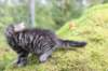 xara75weeks119202325_small.jpg