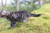 xara75weeks119202326_small.jpg