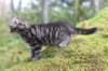 xara75weeks119202327_small.jpg
