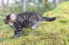 xara75weeks119202328_small.jpg