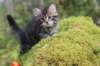 xara75weeks119202330_small.jpg