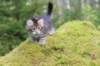xara75weeks119202335_small.jpg