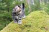 xara75weeks119202336_small.jpg