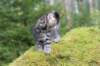 xara75weeks119202338_small.jpg