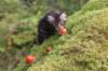 xara75weeks11920233_small.jpg