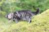 xara75weeks119202340_small.jpg