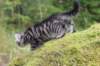 xara75weeks119202341_small.jpg
