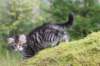 xara75weeks119202343_small.jpg