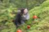 xara75weeks11920235_small.jpg