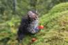 xara75weeks11920237_small.jpg