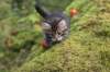 xara75weeks11920238_small.jpg