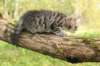 xara95weeks2792322_small.jpg