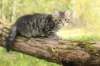 xara95weeks2792323_small.jpg