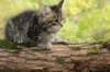 xara95weeks2792328_small.jpg