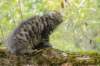 xara95weeks2792329_small.jpg