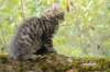 xara95weeks2792330_small.jpg