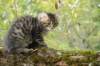 xara95weeks2792331_small.jpg