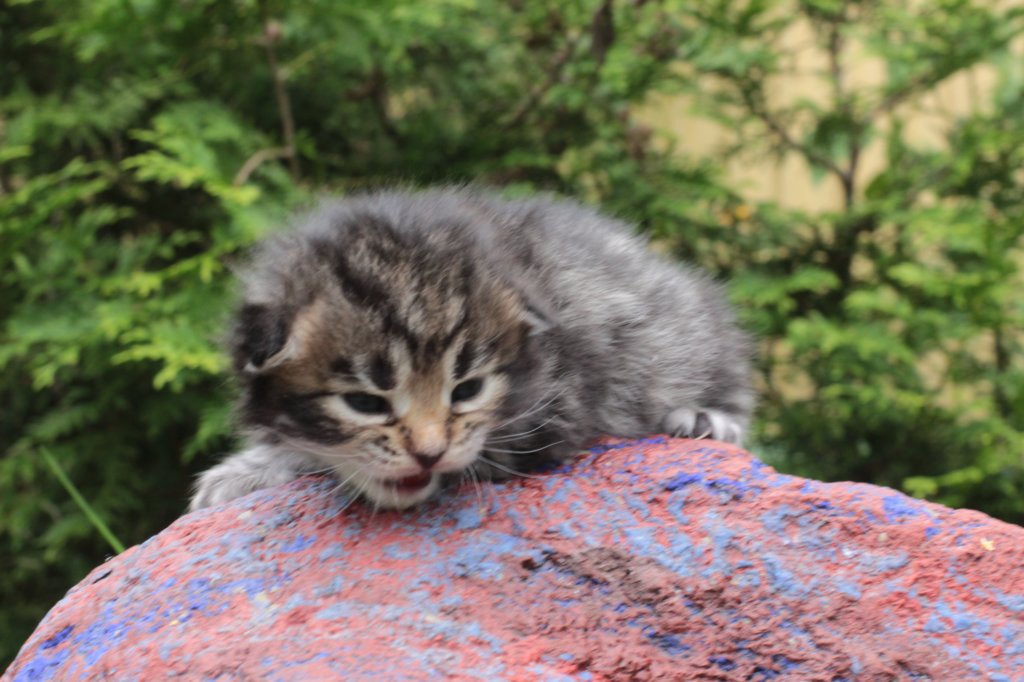 xaragirl2weeks38202312.jpg