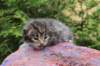 xaragirl2weeks38202312_small.jpg
