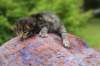 xaragirl2weeks38202318_small.jpg