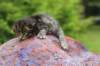 xaragirl2weeks38202319_small.jpg