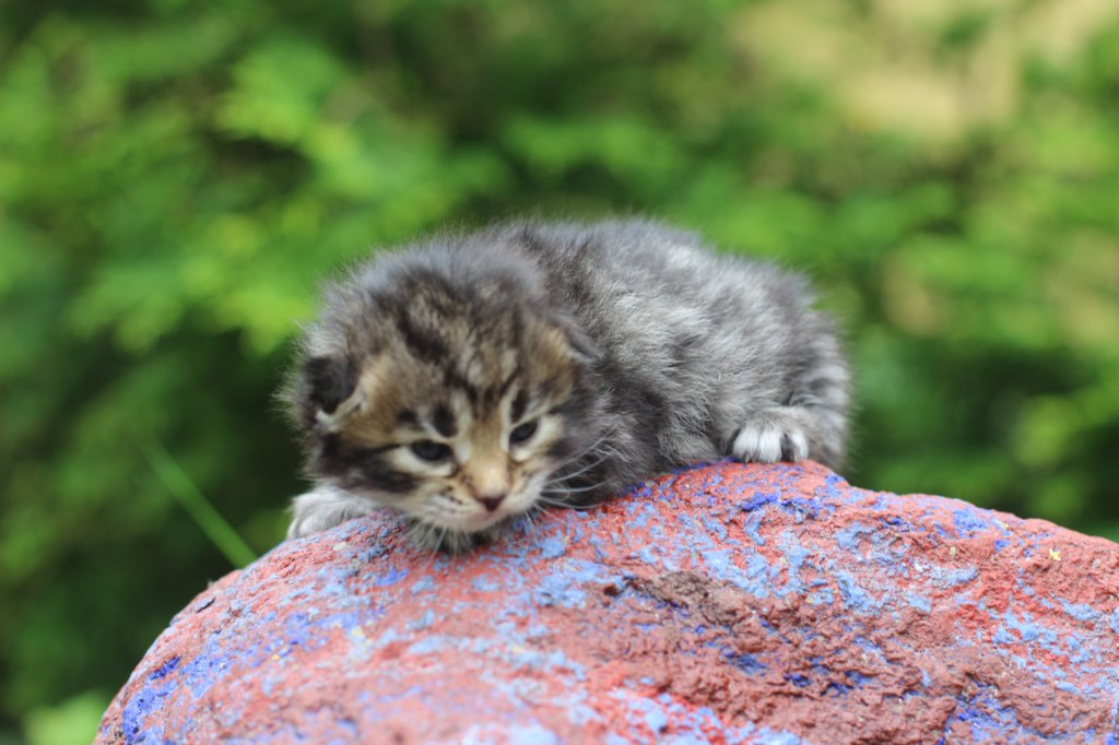 xaragirl2weeks3820237.jpg