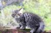 ximenes11weeks810202310_small.jpg
