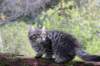 ximenes11weeks810202316_small.jpg