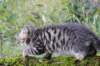 ximenes11weeks81020237_small.jpg