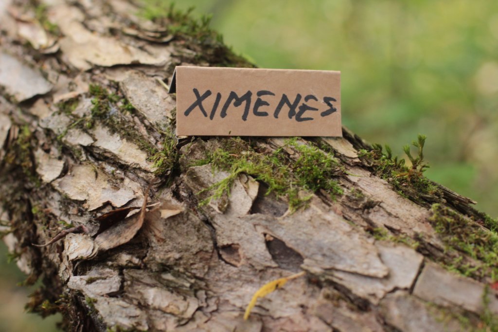 ximenes95weeks279231.jpg