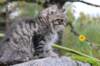 xoana11weeks810202321_small.jpg