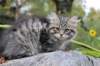 xoana11weeks810202322_small.jpg