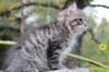 xoana11weeks810202324_small.jpg