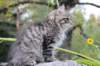 xoana11weeks810202329_small.jpg