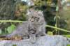 xoana11weeks810202337_small.jpg