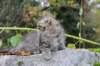 xoana11weeks810202338_small.jpg