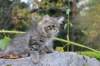 xoana11weeks810202339_small.jpg