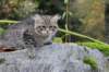 xoana11weeks810202340_small.jpg