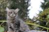 xoana11weeks810202347_small.jpg